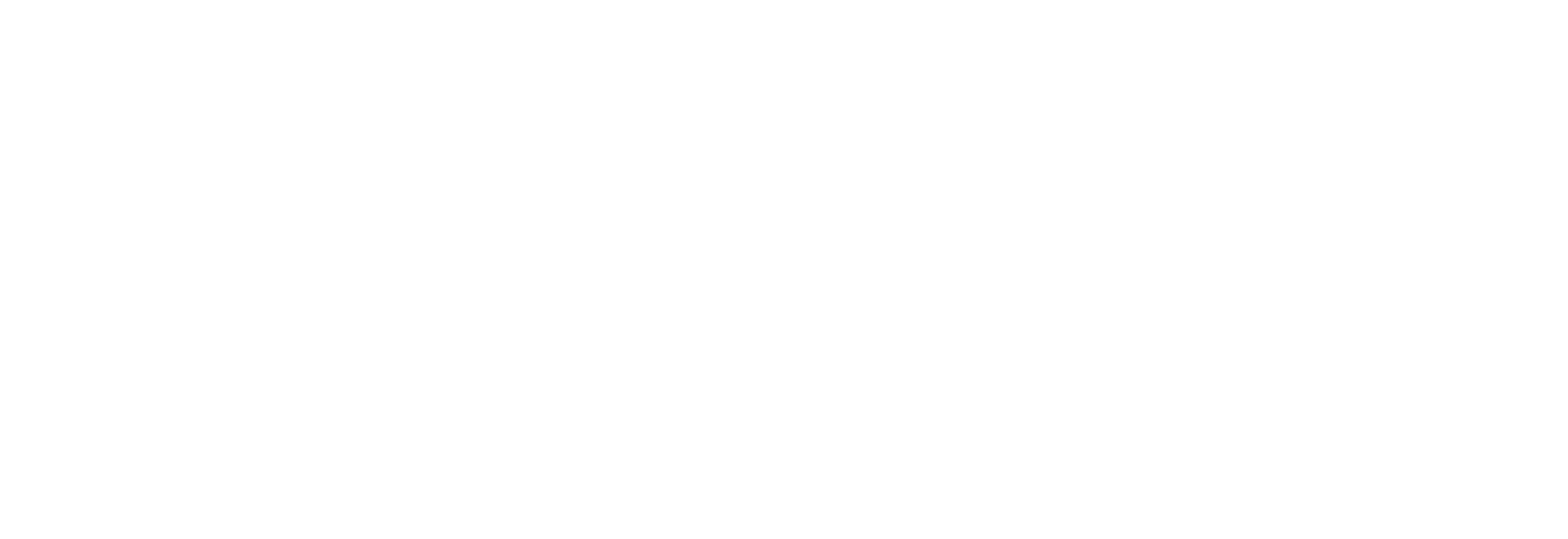 Nouveaux Pharma Limited logo